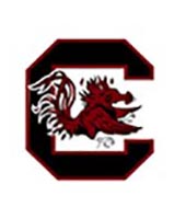 South Carolina football